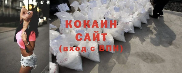 стаф Богданович