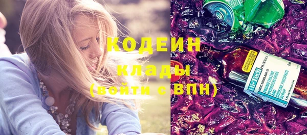 дурь Бородино