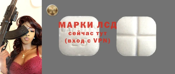 стаф Богданович