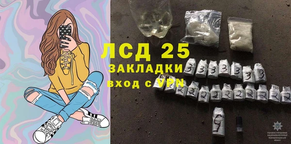 стаф Богданович