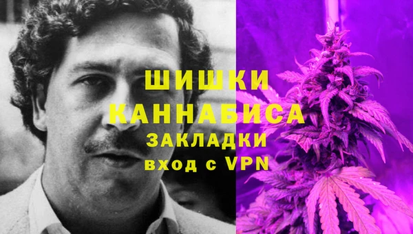 дурь Бородино