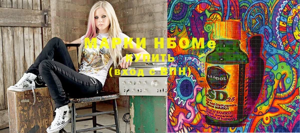 стаф Богданович