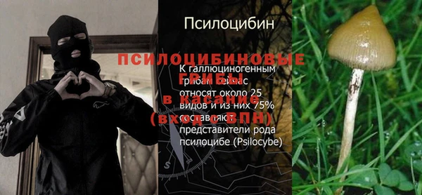 соль ск Бугульма