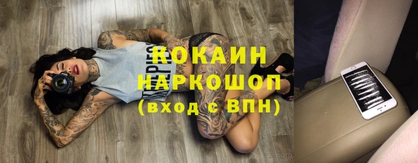 кокс Богородицк