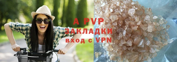 дурь Бородино
