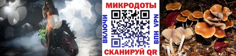 Галлюциногенные грибы мицелий  shop формула  Вяземский 